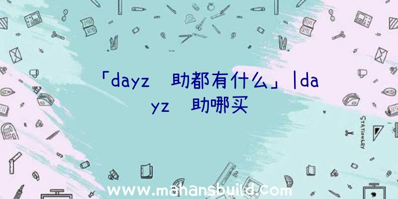 「dayz辅助都有什么」|dayz辅助哪买